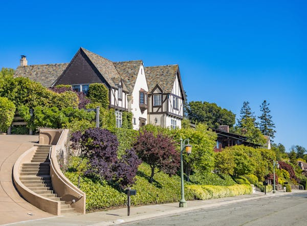 pexels-photo-12243105